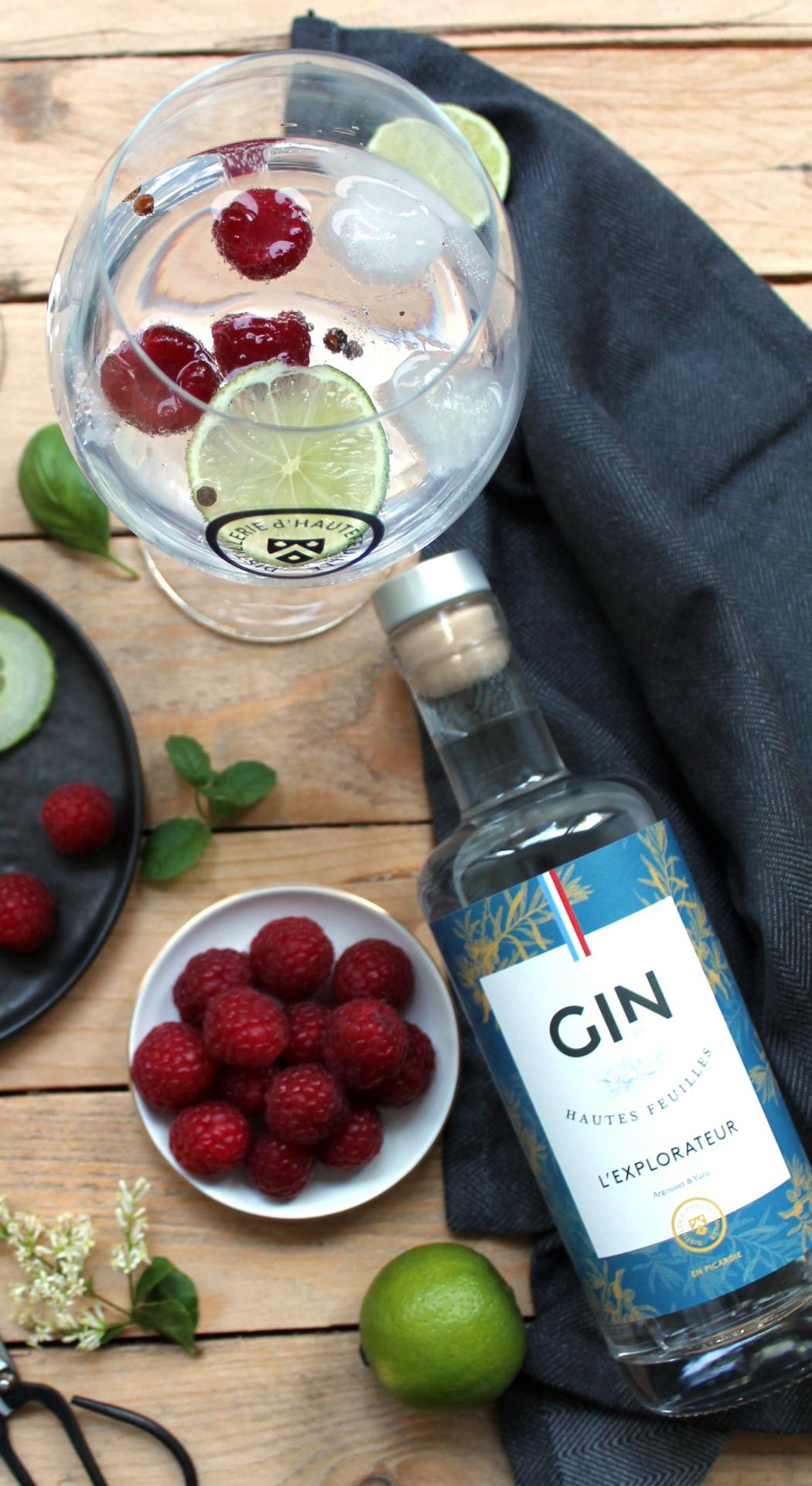Gintonic dhautefeuille 4828 coupe