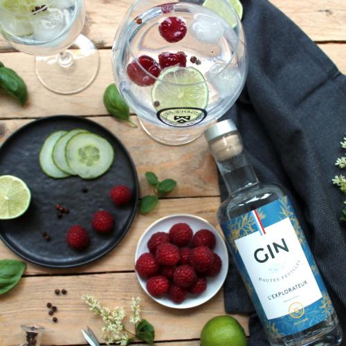 Gintonic dhautefeuille 4829